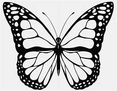 ausmalbild schmetterling und raupe ausmalbilder schmetterling und raupe malvorlagentv ausmalbild schmetterling und raupe ausmalbilder schmetterling und raupe malvorlagentv