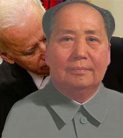 Image result for dictator Biden