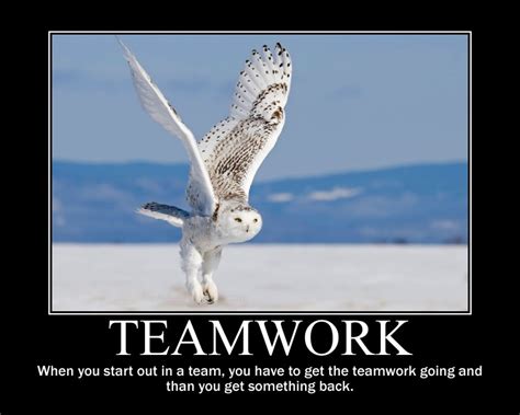 Teamwork Success Quotes 的图像结果