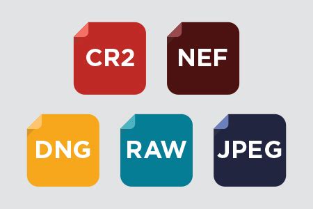 Image result for Camera File Structures