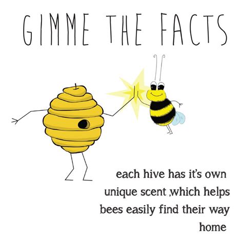 10 interesting facts about the honey bees – Artofit
