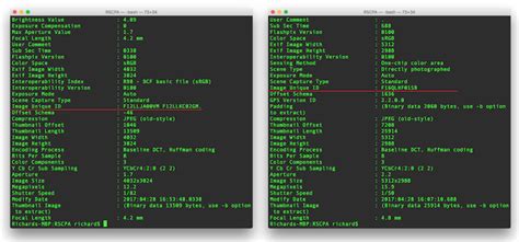 Image Forensics & What It Reveals About You: All You Need To Know | BOOM
