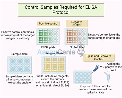 Image result for Elisa Protocol Ind Application