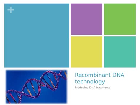 Recombinant DNA Technology Class 12 的图像结果