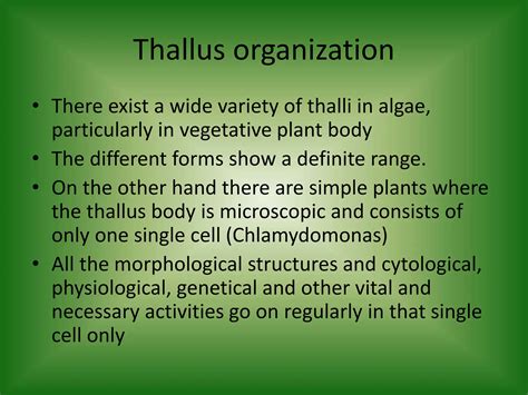 THALLUS ORGANISATION OF CHLOROPHYCEAE.pptx