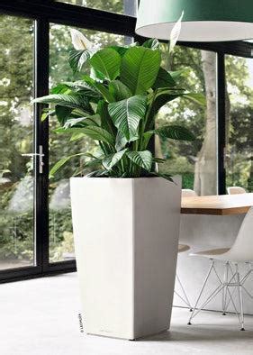 Lechuza CubicoLS 30 White Self-Watering Planter – Green Carpet
