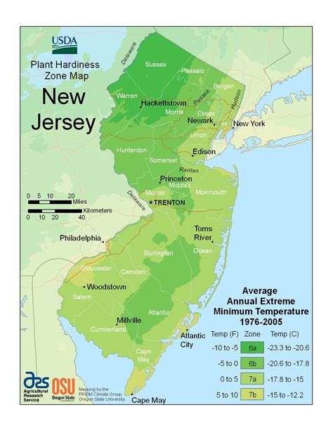 Planting & Growing Zones in the USA: 2019 Guide – Howzoo
