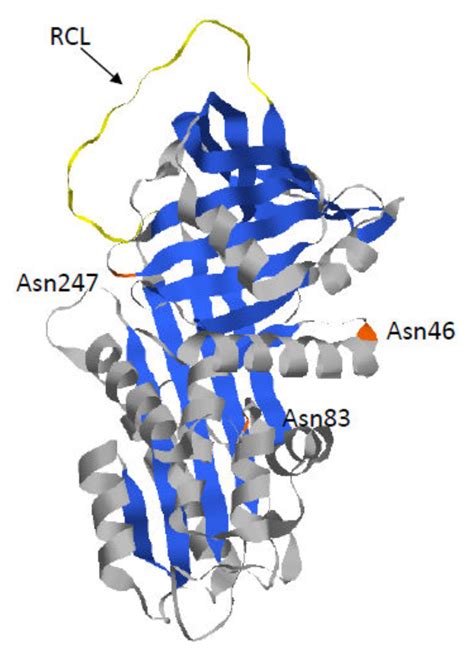 Alpha 1-Antitrypsin Deficiency: A Disorder of Proteostasis-Mediated ...