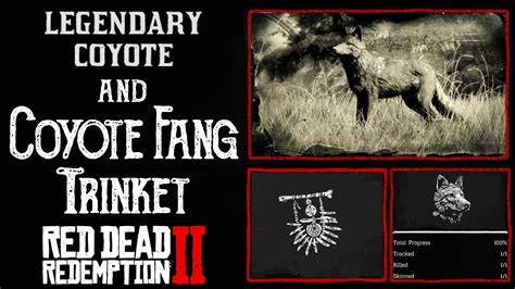 RDR2 Legendary Coyote Location and Coyote Fang Trinket guide | +10% ...