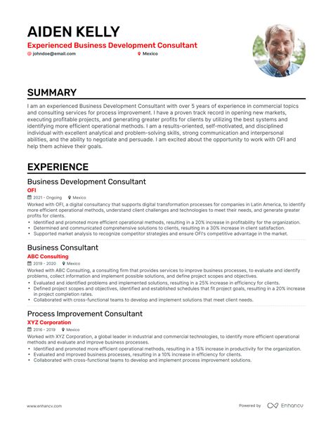 5 Business Development Consultant Resume Examples & Guide for 2024