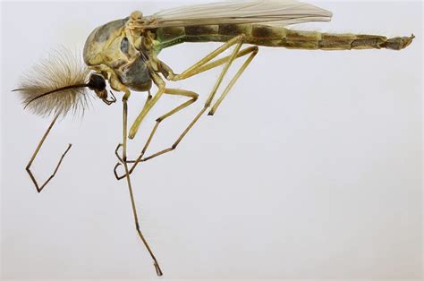 Clayton La Touche named new TDSB director