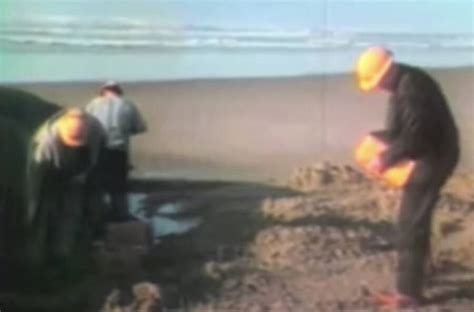 Exploding Whale Oregon 1970 的图像结果