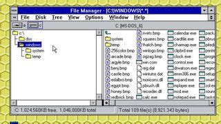 Windows 3.1 File Manager 的图像结果