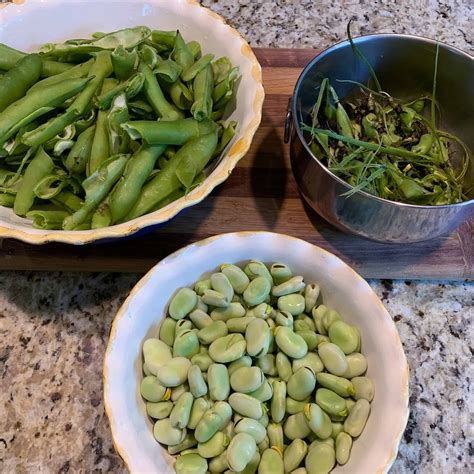Fresh Fava Beans & Fava Bean Pod Green Enchilada Sauce - Trimazing