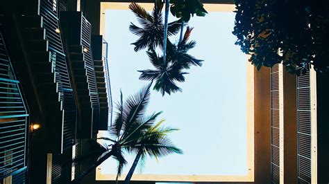 Wallpaper building, bottom view, palm tree, sky hd, picture, image