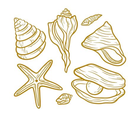 Image result for Shell Line Art