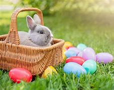 Image result for Cute Easter Bunny Stuffed Animals