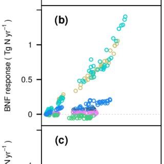 Net primary productivity (NPP) and biological nitrogen (N) fixation ...