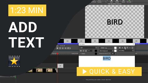 Image result for VideoPad Tutorial for Beginners