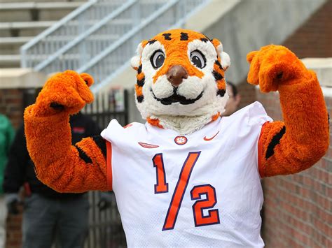 Clemson Tigers Mascot Wallpaper