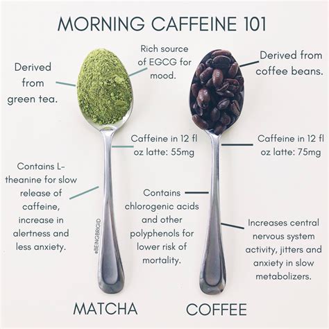 Morning Caffeine 101: Is Matcha Better Than Coffee? - BeingBrigid
