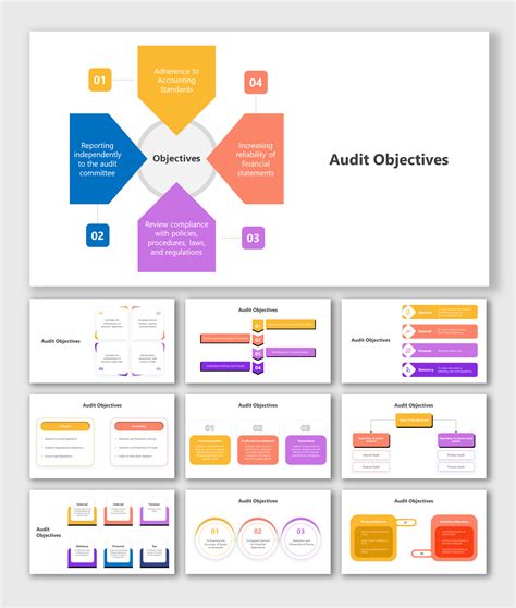 Audit Plan Objectives 的图像结果