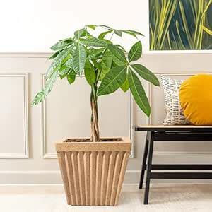 Kuber Industries 14-Inch Roto Mould German Polymer Big Size Flower Pot ...