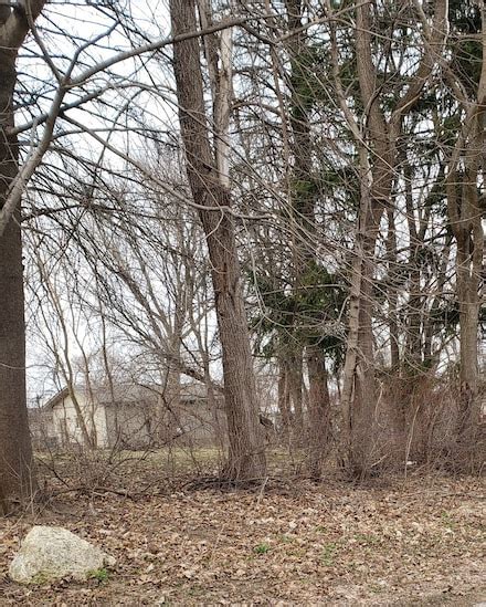 Wauconda, IL Homes for Sale & Real Estate - Homes.com