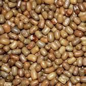 Crop Details :: Gujarat State Seeds Corporation Ltd