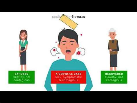 PCR Testing Definition 的图像结果