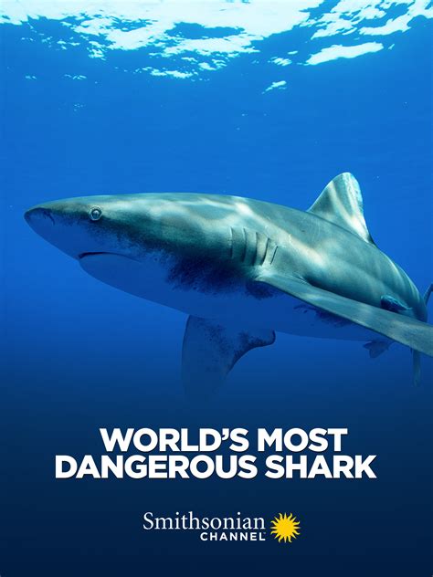 Most Dangerous Sharks