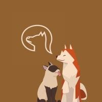 Image result for Pets Explained