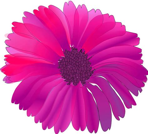 Pink flower clipart vector – Clipartix