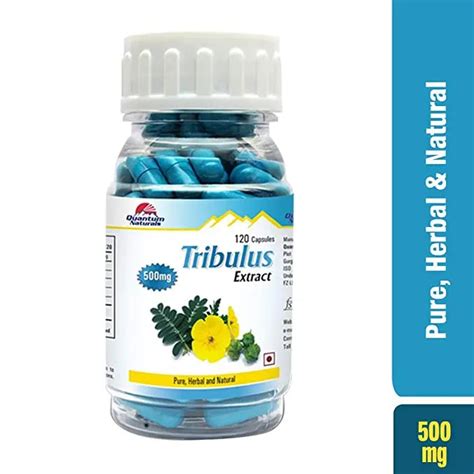 Quantum Naturals T Extract Capsules- 500mg (120 capsules) - India's ...