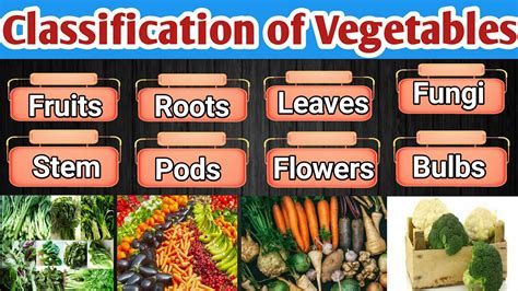 Vegetable Classification 的图像结果