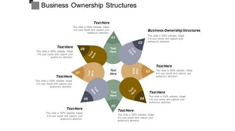 Ownership Structure Types 的图像结果