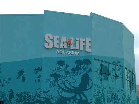SEA LIFE Aquarium Charlotte-Concord in Concord, North Carolina - Kid ...