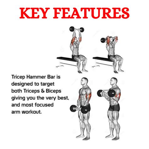 Gym Box Rod at Best Price in India – EnergieFitness