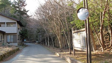 NARUSAWA'S TREE FORM LAVA - All You Need to Know BEFORE You Go 2026 ...