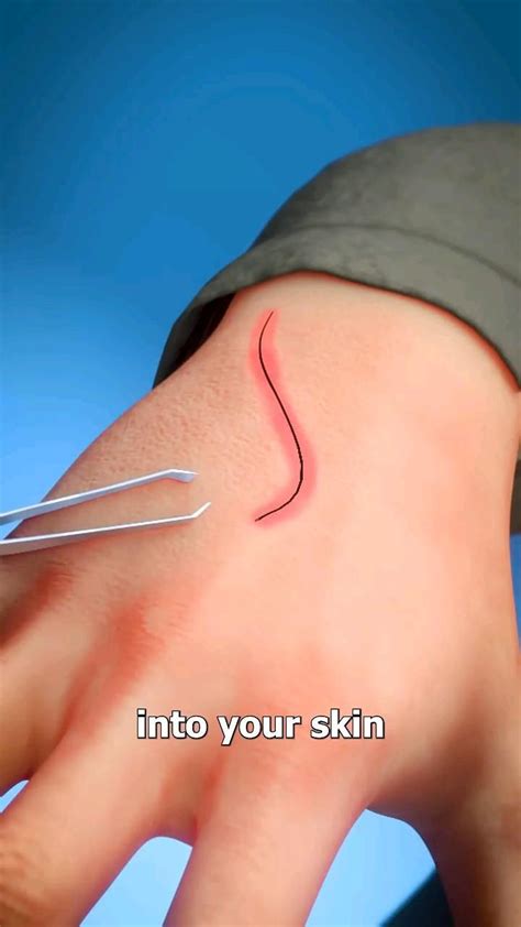 Splinter Human 的图像结果