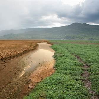 https://mci-indonesia.id/wp-content/uploads/2025/04/climate-change-1024x724-1.png