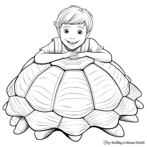 Image result for Turtle Shell Coloring