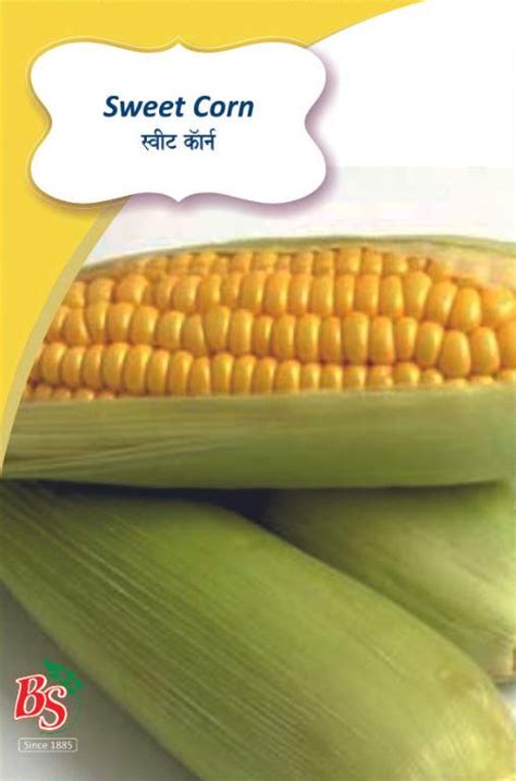 Buy Sweet Corn Seeds (Maka) Online – Bombay Seeds