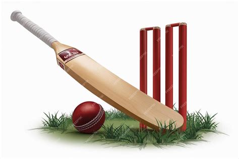 Premium Vector | A cricket ball and a bat on the grass