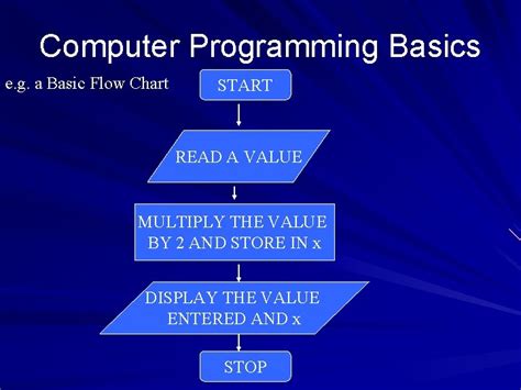 Computer Programming For Dummies 的图像结果