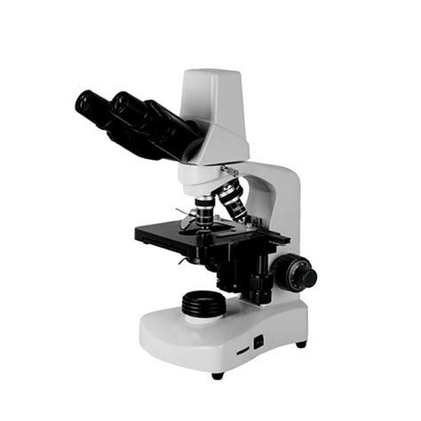 Digital Microscope Camera 的图像结果