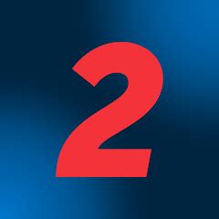 Image result for Net2Phone Symbol