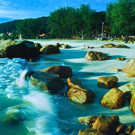 The Cats Of Torres del Paine National Park In Patagonia, Chile