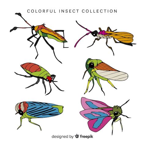 Colorful hand drawn insects pack | Free Vector