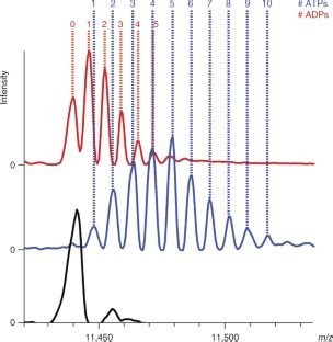 Image result for Resolution in Orbitrap